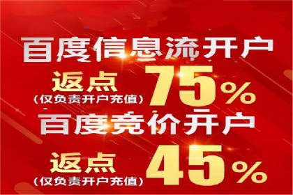 广告行业中的信息流大师：成功案例解析